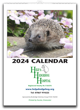 Help A Hedgehog Hospital - 2022 Calendar