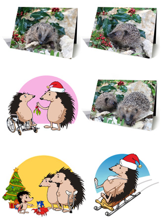 Help A Hedgehog Hospital - Christmas Cards